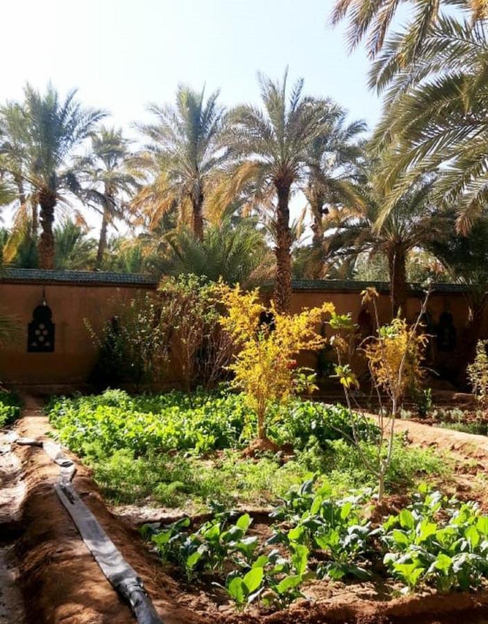 Riad Dar Sofian Zagora Exterior photo